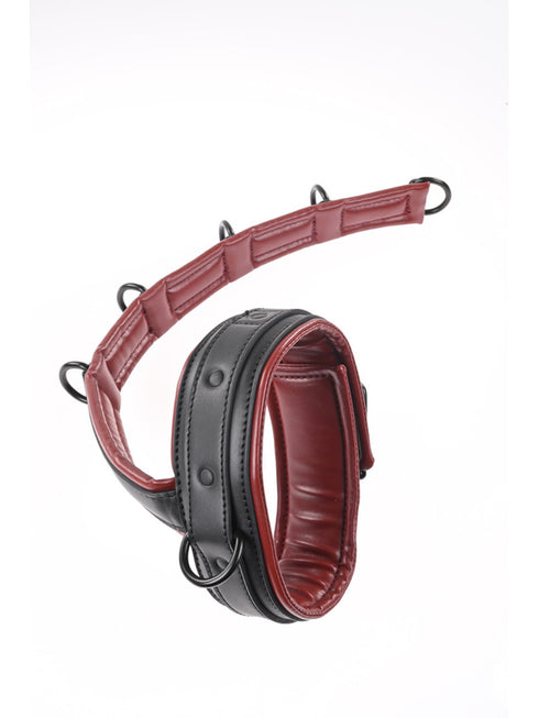 SAFFRON NECK AND WRIST RESTRAINT